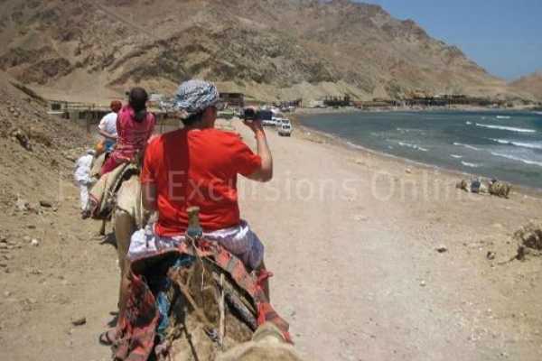 Camel Ride, Bedouin dinner tour in Dahab Desert