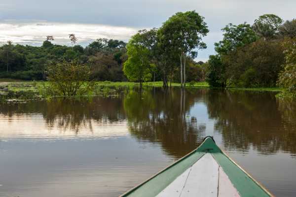 Tamarindo Mangrove Estuary Boat Tour