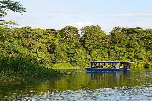 Tamarindo Mangrove Estuary Boat Tour