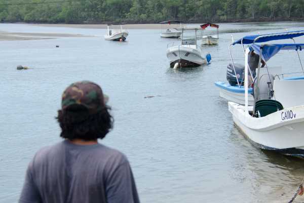 Tamarindo Mangrove Estuary Boat Tour