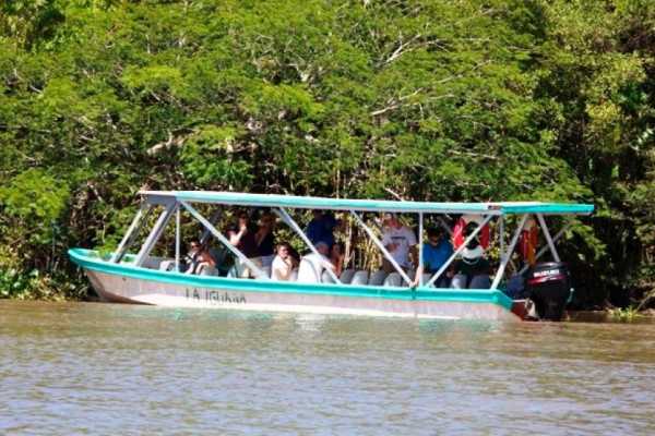 Tamarindo Mangrove Estuary Boat Tour