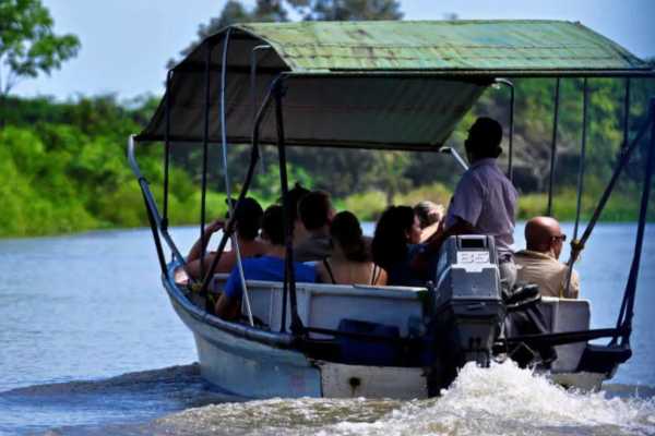Tamarindo Mangrove Estuary Boat Tour