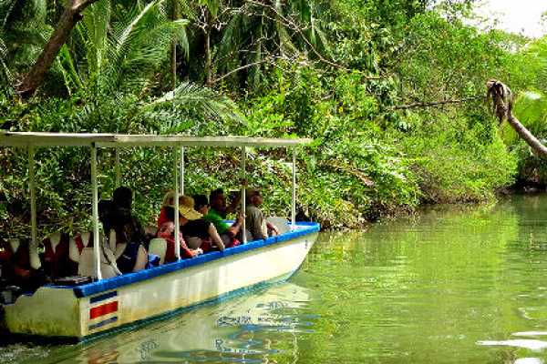 Tamarindo Mangrove Estuary Boat Tour