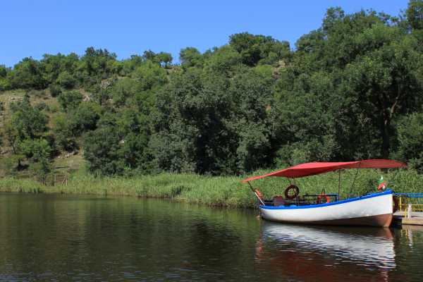 Tamarindo Mangrove Estuary Boat Tour