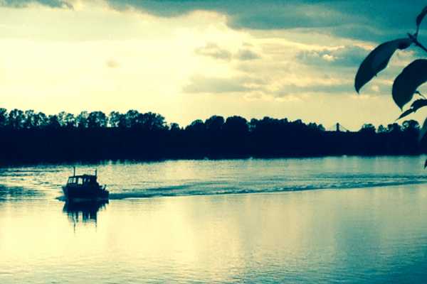 Tamarindo Mangrove Estuary Boat Tour
