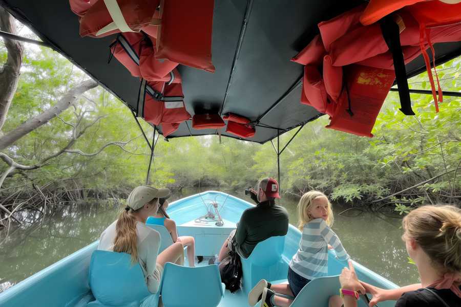 Tour Guanacaste Tamarindo Mangrove Estuary Boat Tour
