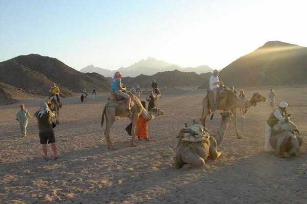 Trip to St Catherine Monastery from Dahab