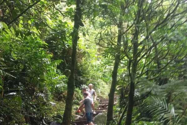 Rio Celeste Blue Waterfall Trip