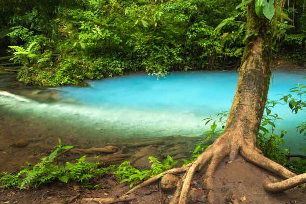 Rio Celeste Blue Waterfall Trip