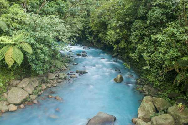 Rio Celeste Blue Waterfall Trip