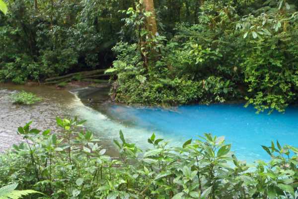 Rio Celeste Blue Waterfall Trip