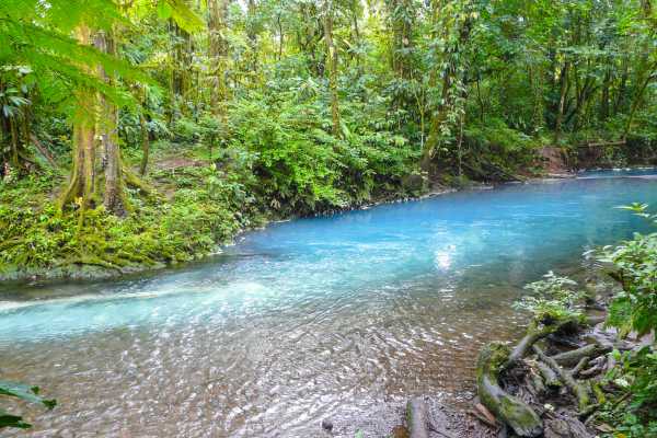 Rio Celeste Blue Waterfall Trip