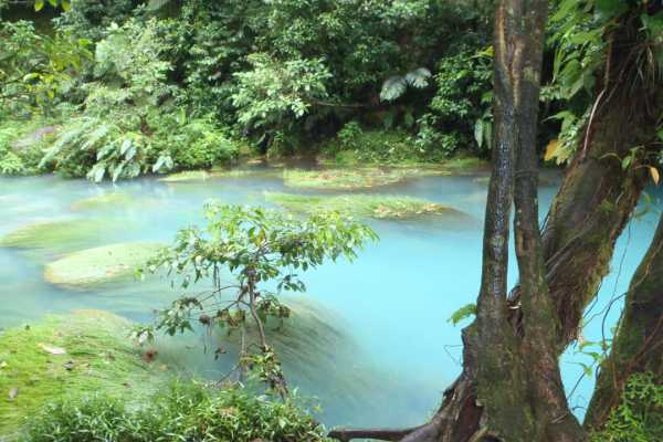 Rio Celeste Blue Waterfall Trip