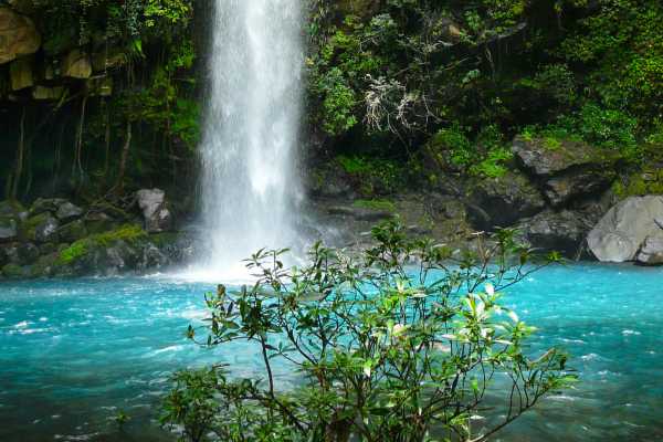 Rio Celeste Blue Waterfall Trip