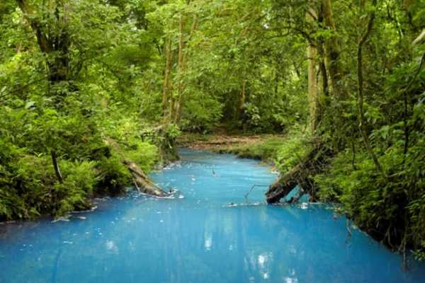 Rio Celeste Blue Waterfall Trip