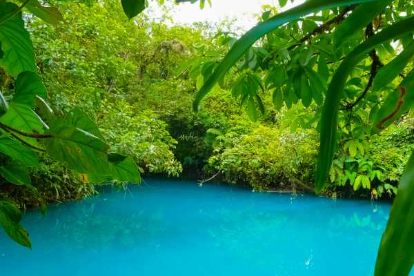 Rio Celeste Blue Waterfall Trip