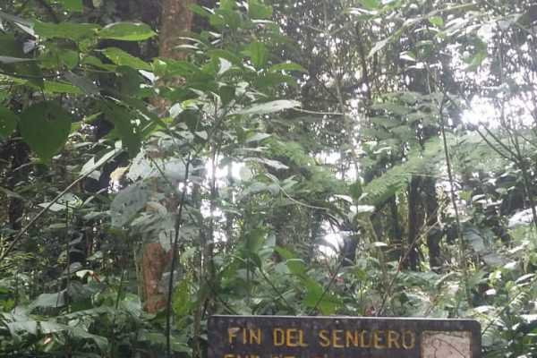 Rio Celeste Blue Waterfall Trip