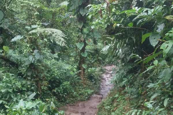Rio Celeste Blue Waterfall Trip