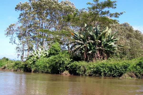 Palo Verde Wildlife River Boat Cruise