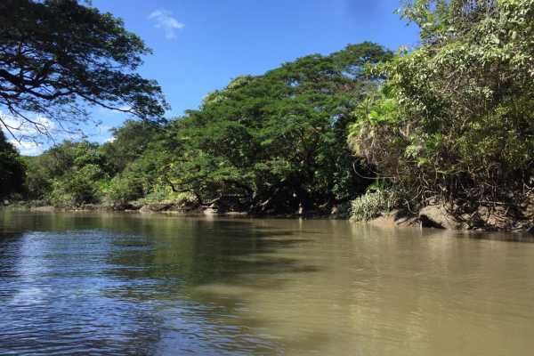 Palo Verde Wildlife River Boat Cruise