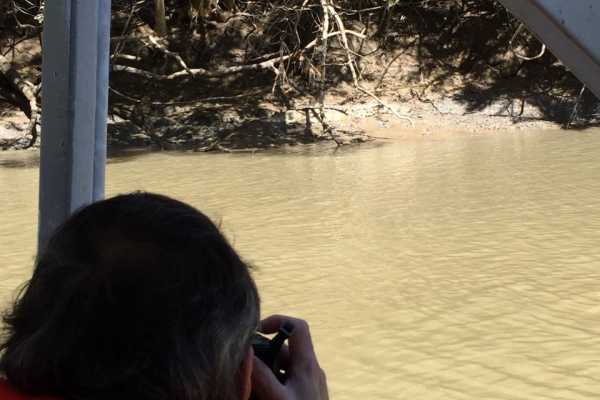 Palo Verde Wildlife River Boat Cruise