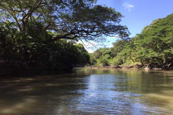 Palo Verde Wildlife River Boat Cruise