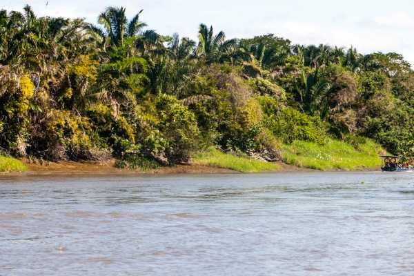 Palo Verde Wildlife River Boat Cruise