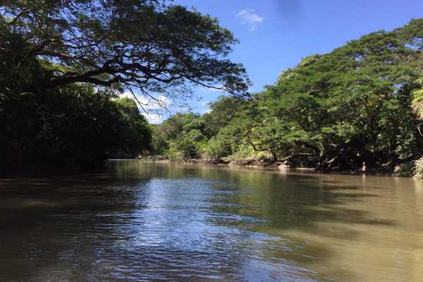 Palo Verde Wildlife River Boat Cruise
