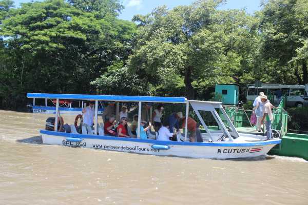Palo Verde Wildlife River Boat Cruise