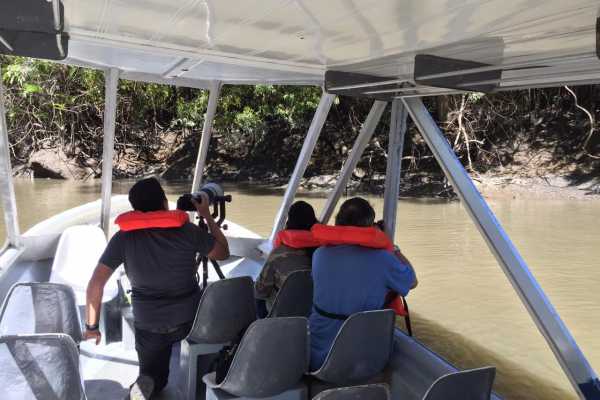 Palo Verde Wildlife River Boat Cruise