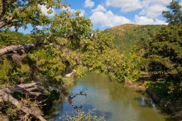 Palo Verde Wildlife River Boat Cruise