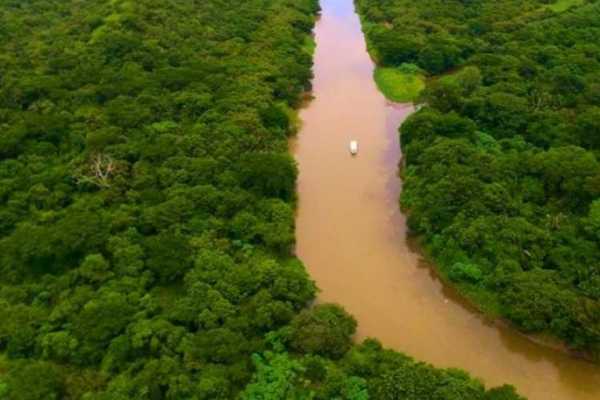 Palo Verde Wildlife River Boat Cruise