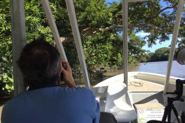 Palo Verde Wildlife River Boat Cruise