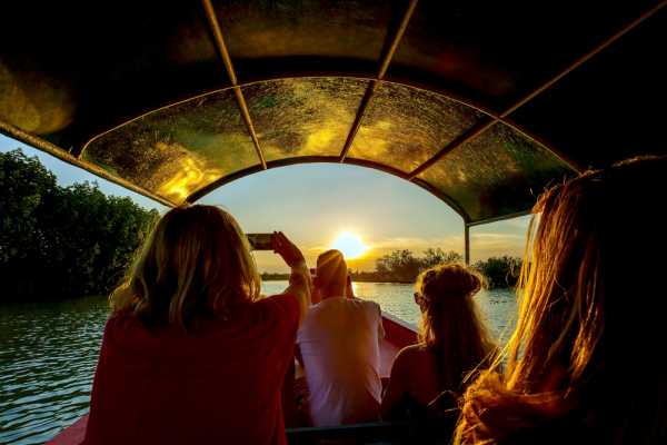 Palo Verde Wildlife River Boat Cruise