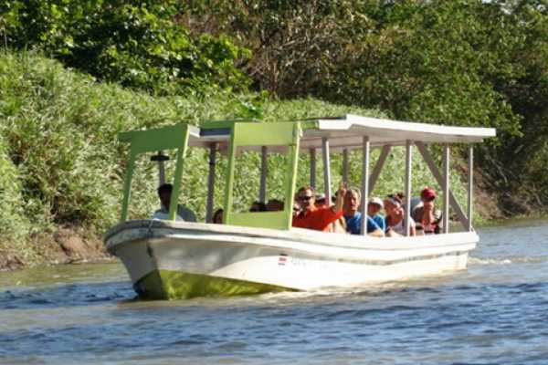 Palo Verde Wildlife River Boat Cruise