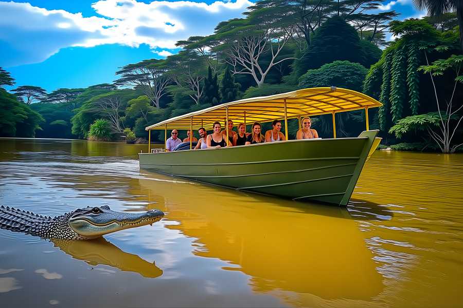 Tour Guanacaste Palo Verde Wildlife River Boat Cruise