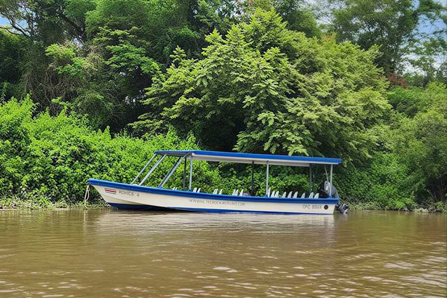 Tour Guanacaste Palo Verde Wildlife River Boat Cruise