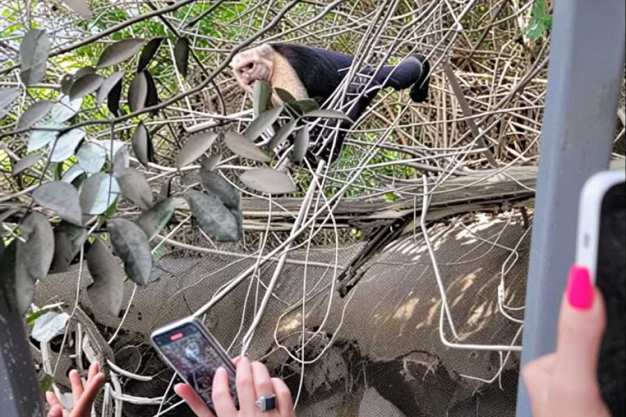 Tour Guanacaste Palo Verde Wildlife River Boat Cruise