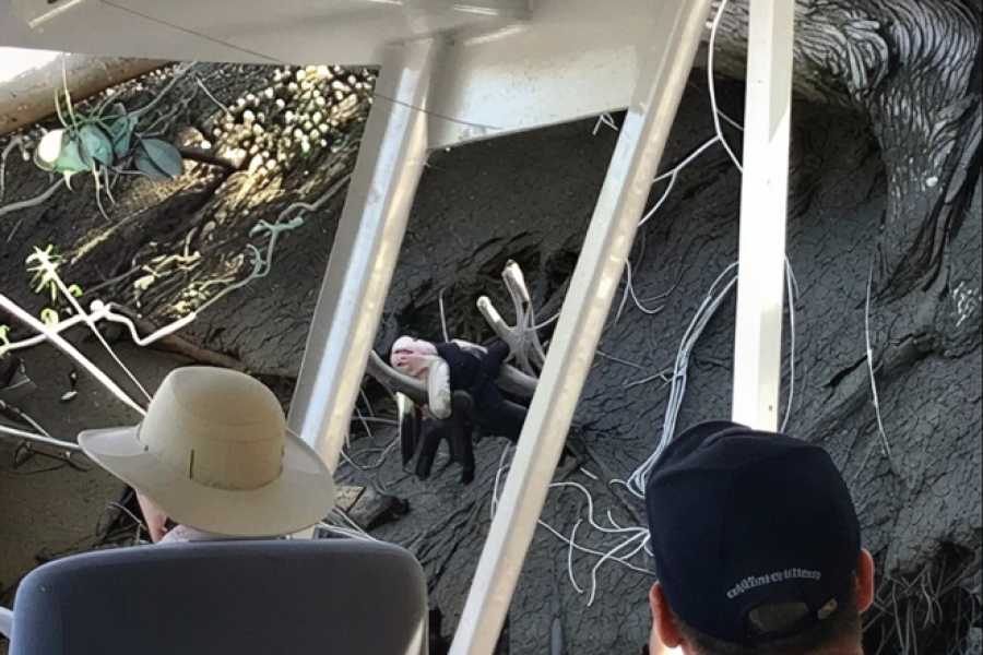 Tour Guanacaste Palo Verde Wildlife River Boat Cruise