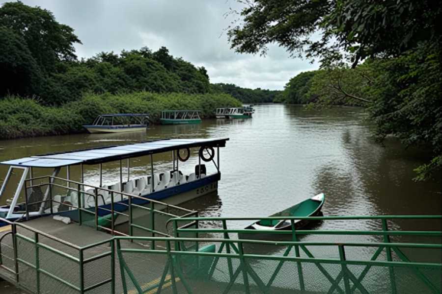 Tour Guanacaste Palo Verde Wildlife River Boat Cruise