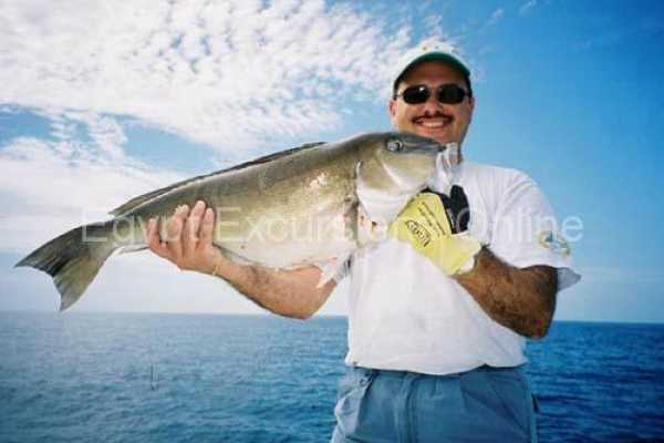 Fishing tour in Dahab by boat