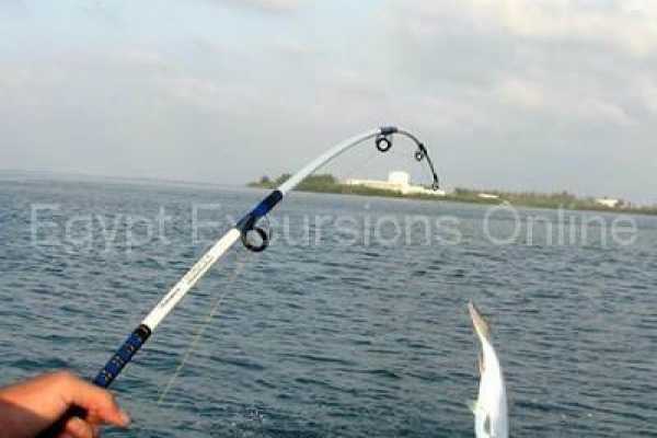 Fishing tour in Dahab by boat