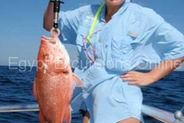 Fishing tour in Dahab by boat