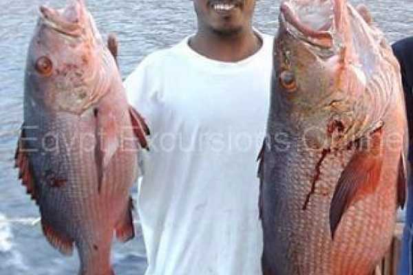 Fishing tour in Dahab by boat