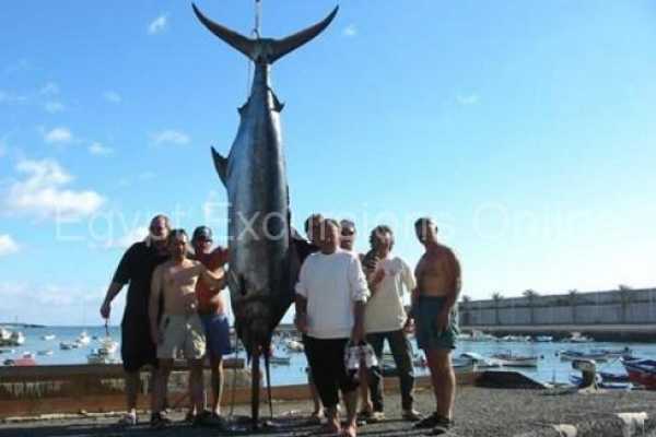Fishing tour in Dahab by boat
