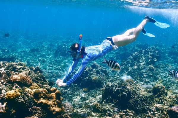 Morning Snorkel Catamaran Tour