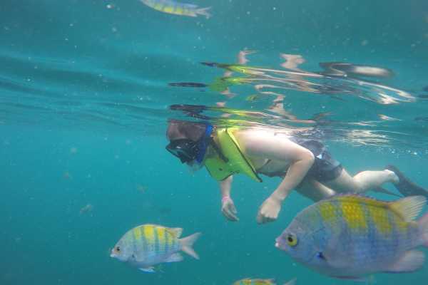Morning Snorkel Catamaran Tour