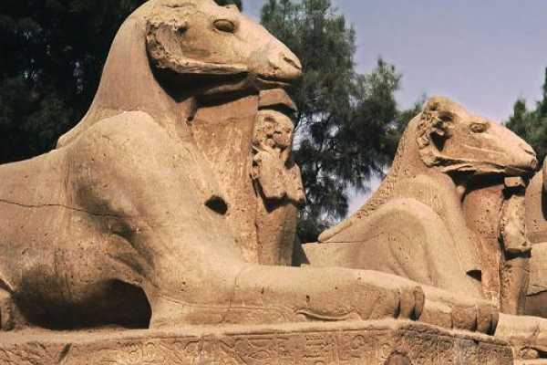 Luxor excursion from Dahab by flight