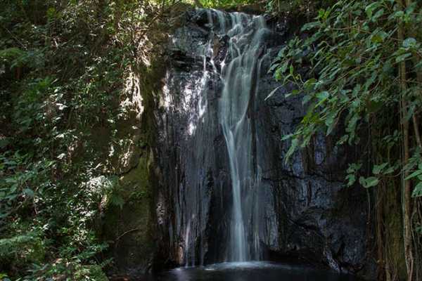 Misterio Waterfalls and Hot Springs Eco-Tour