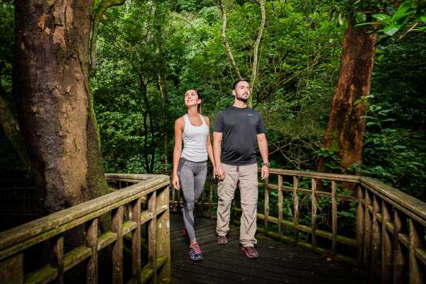 Misterio Waterfalls and Hot Springs Eco-Tour